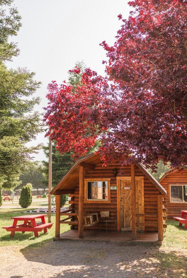 Redwood Coast Cabins And Rv Resort Eureka Ngoại thất bức ảnh